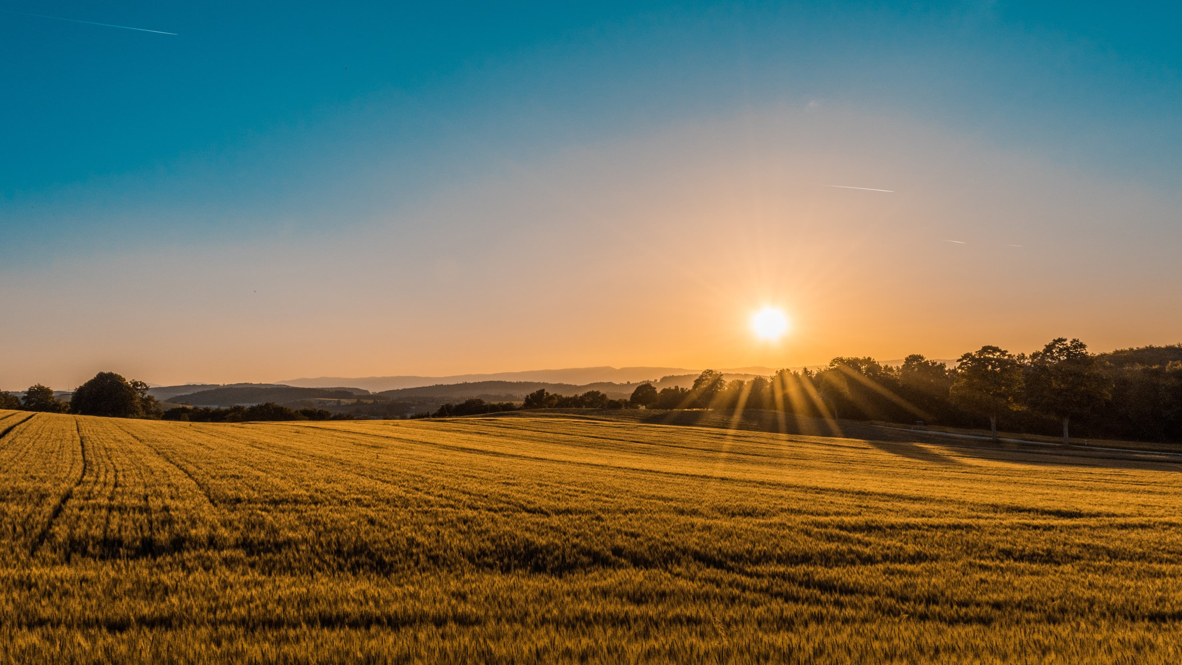 Capa do artigo: Imóvel rural com passivo ambiental: o risco é do comprador